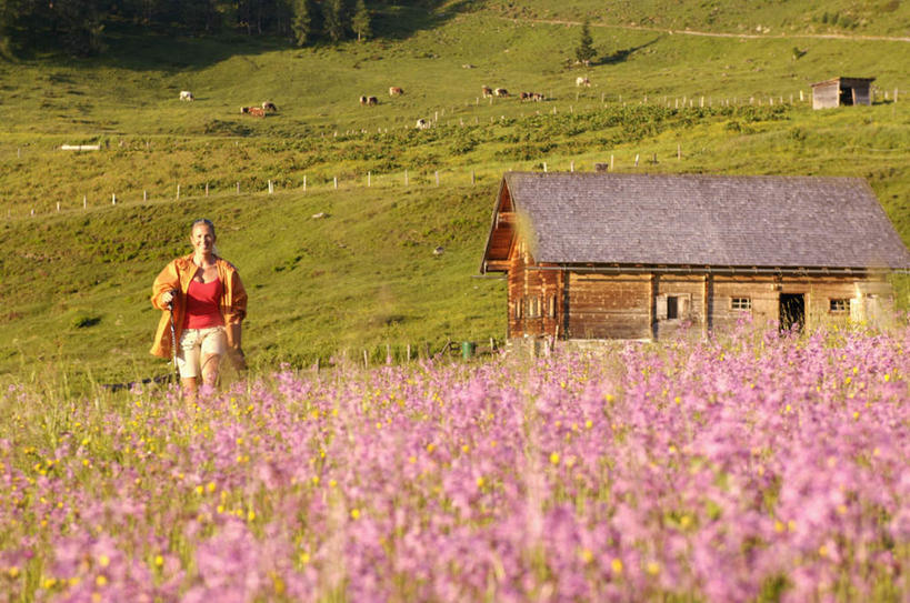 西方人,一个人,家,木屋,走,横图,室外,白天,正面,旅游,度假,草地,草坪,花海,花圃,美景,植物,牛,叶子,奥地利,欧洲,欧洲人,仅一个女性,仅一个人,阴影,服装,盛开,光线,影子,景观,花蕾,注视,娱乐,住宅,草,花,花瓣,花朵,花卉,鲜花,树,树木,衣服,粉色,绿色,阳光,自然,动物,花丛,花束,花田,花苞,花蕊,观察,看,仅一个中年女性,享受,休闲,家畜,景色,放松,服饰,牲畜,生长,成长,观看,察看,衣着,穿着,关注,自然风光,中欧,奥地利共和国,衣饰,女人,女性,中年女性,白种人,步行,散步,走路,彩图,全身,茅舍,茅屋,棚屋,小木屋,小屋