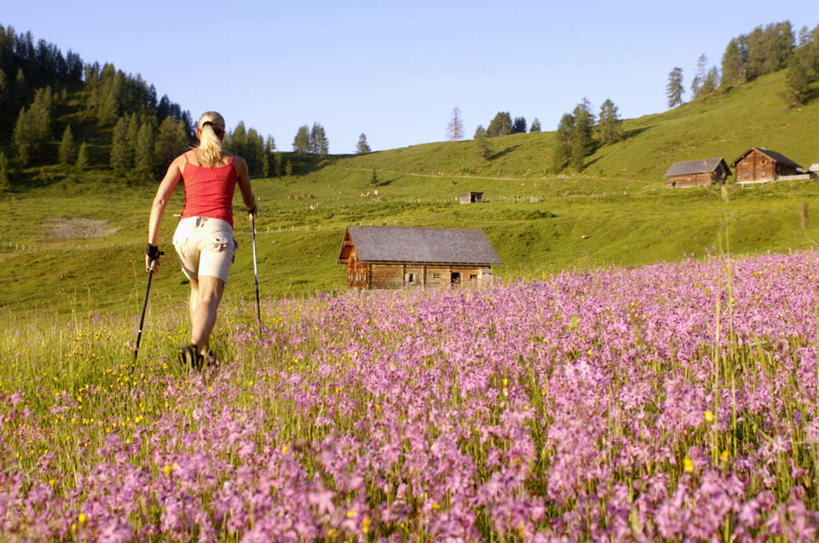 西方人,一个人,家,木屋,走,横图,室外,白天,旅游,度假,草地,草坪,花海,花圃,美景,植物,叶子,奥地利,欧洲,欧洲人,仅一个女性,仅一个人,阴影,服装,盛开,光线,工具,器材,影子,景观,花蕾,娱乐,住宅,草,花,花瓣,花朵,花卉,鲜花,树,树木,背面,衣服,粉色,蓝色,绿色,蓝天,天空,阳光,自然,花丛,花束,花田,天,花苞,花蕊,仅一个中年女性,享受,休闲,器械,景色,放松,服饰,生长,晴朗,成长,拐杖,衣着,穿着,自然风光,中欧,万里无云,登山杖,辅助设备,奥地利共和国,衣饰,登山棍,女人,女性,中年女性,白种人,晴空,晴空万里,步行,登山,爬山,散步,走路,彩图,全身,茅舍,茅屋,棚屋,小木屋,小屋