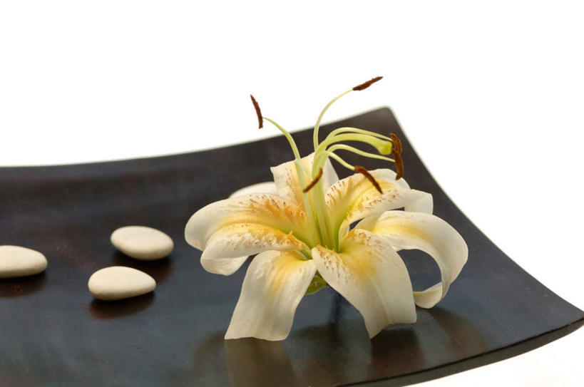 无人,横图,俯视,室内,特写,白天,白色背景,石头,百合花,餐具,盛开,碟子,盘,石子,花蕾,花,花瓣,花朵,鲜花,一个,盘子,碟,花苞,花蕊,鹅卵石,摄影,影棚,单个,按摩石,强瞿,百合蒜,倒仙,番韭,山丹,石块,彩图,高角度拍摄,影棚拍摄,拍摄