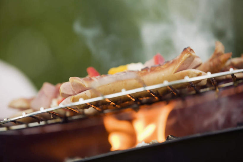 无人,横图,室外,特写,白天,仰视,烧烤,热情,树林,植物,火,朦胧,模糊,火焰,肉,香肠,烤架,烤肉,燃烧,肉类,树,树木,绿色,自然,铁架,生长,成长,肉食,彩图,低角度拍摄