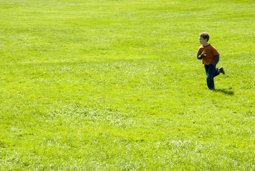 西方人,儿童,一个人,跑,横图,俯视,室外,白天,锻炼,纯洁,运动,草地,草坪,植物,欧洲,欧洲人,仅一个男性,仅一个人,阴影,服装,光线,影子,注视,草,小孩,衣服,绿色,阳光,观察,看,仅一个小孩,可爱,童年,童趣,服饰,观看,察看,衣着,穿着,关注,童真,烂漫,无邪,衣饰,体育,天真,男孩,男人,男性,白种人,孩子,跑步,彩图,高角度拍摄,全身,健身,男生
