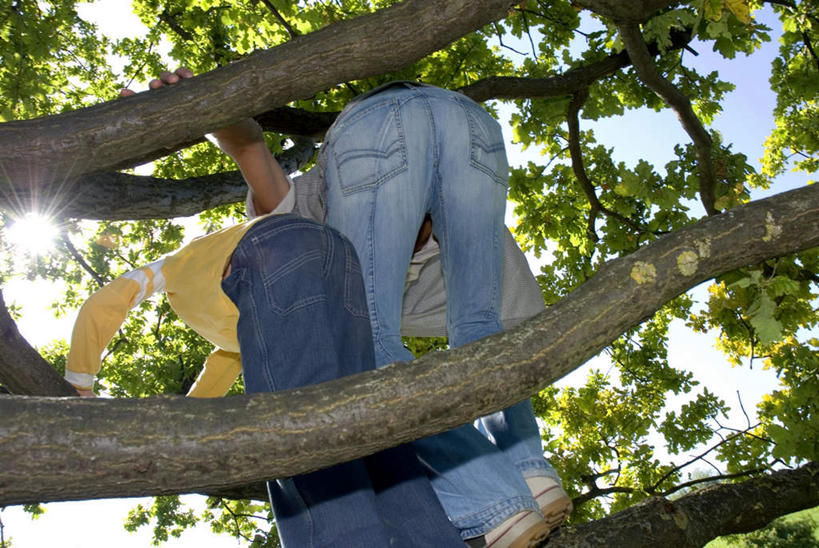 西方人,儿童,中年人,两个人,家庭,父亲,儿子,站,攀登,横图,室外,白天,仰视,纯洁,植物,欧洲,欧洲人,弯腰,阴影,服装,光线,影子,树,树木,小孩,衣服,蓝色,绿色,蓝天,天空,阳光,自然,天,站着,温暖,温馨,父子,一家人,爬,父爱,可爱,童年,童趣,服饰,生长,晴朗,成长,和睦,衣着,穿着,童真,烂漫,无邪,万里无云,弯身,衣饰,天真,男孩,男人,男性,中年男性,白种人,孩子,晴空,晴空万里,攀爬,站立,半身,彩图,低角度拍摄,融洽,男生
