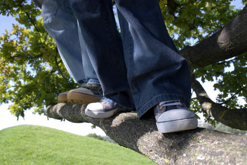 西方人,儿童,中年人,两个人,家庭,父亲,儿子,站,攀登,横图,室外,白天,正面,纯洁,植物,欧洲,欧洲人,阴影,服装,光线,影子,树,树木,小孩,衣服,蓝色,绿色,蓝天,天空,阳光,自然,天,站着,温暖,温馨,父子,一家人,爬,父爱,可爱,童年,童趣,服饰,生长,晴朗,成长,和睦,衣着,穿着,童真,烂漫,无邪,万里无云,衣饰,天真,男孩,男人,男性,中年男性,白种人,孩子,晴空,晴空万里,攀爬,站立,半身,彩图,融洽,男生