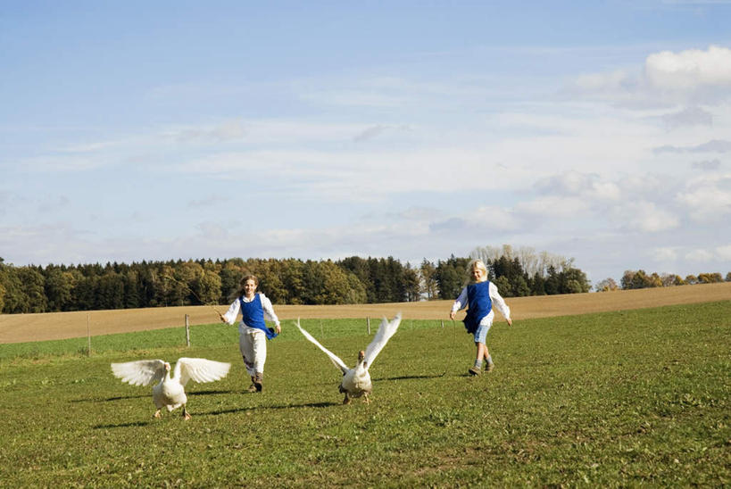 西方人,儿童,两个人,家庭,走,横图,室外,白天,正面,纯洁,草地,草坪,植物,野生动物,欧洲,欧洲人,阴影,服装,光线,鸭子,影子,云,云朵,云彩,注视,草,树,树木,小孩,衣服,绿色,白云,蓝天,天空,阳光,自然,动物,天,观察,看,温暖,温馨,一家人,可爱,童年,童趣,服饰,活泼,生长,成长,观看,和睦,察看,衣着,穿着,关注,凶猛,童真,烂漫,无邪,衣饰,天真,女孩,女人,女性,白种人,孩子,步行,散步,走路,彩图,全身,融洽,女生