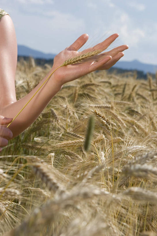 西方人,手,一个人,农田,站,举,笑,微笑,露齿笑,竖图,室外,特写,白天,正面,庄稼,小麦,欧洲,欧洲人,仅一个年轻女性,仅一个女性,仅一个人,一堆,堆叠,堆积,服装,朦胧,模糊,云,云朵,谷物,麦穗,拿,云彩,拿着,休闲装,衣服,白云,蓝天,天空,天,托,站着,休闲,手部,休闲服,服饰,堆,单手,年轻女性,女人,女性,白种人,举起,举手,举着,向上举,向上伸,向上托,站立,半身,彩图,耕地,庄稼田