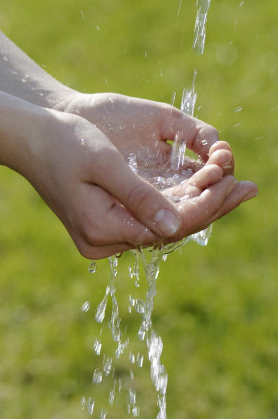 西方人,手,一个人,公园,站,捧,竖图,室外,特写,白天,侧面,草地,草坪,植物,欧洲人,双手,仅一个年轻女性,仅一个女性,仅一个人,飞溅,朦胧,模糊,溅,液体,水滴,水珠,草,绿色,站着,手部,喷洒,年轻女性,女人,女性,白种人,端,端着,捧着,手捧,站立,半身,彩图