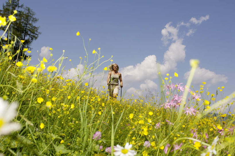 西方人,一个人,走,笑,微笑,露齿笑,横图,室外,白天,仰视,草地,草坪,花海,花圃,树林,植物,叶子,欧洲,欧洲人,仅一个年轻女性,仅一个女性,仅一个人,服装,朦胧,模糊,盛开,工具,器材,云,云朵,拿,花蕾,云彩,拿着,注视,休闲装,草,花,花瓣,花朵,鲜花,树,树木,衣服,绿色,白云,蓝天,天空,自然,花丛,花束,花田,天,花苞,花蕊,观察,看,休闲,休闲服,器械,服饰,生长,成长,拐杖,观看,察看,关注,登山杖,辅助设备,登山棍,年轻女性,女人,女性,白种人,步行,登山,爬山,散步,走路,彩图,低角度拍摄,全身