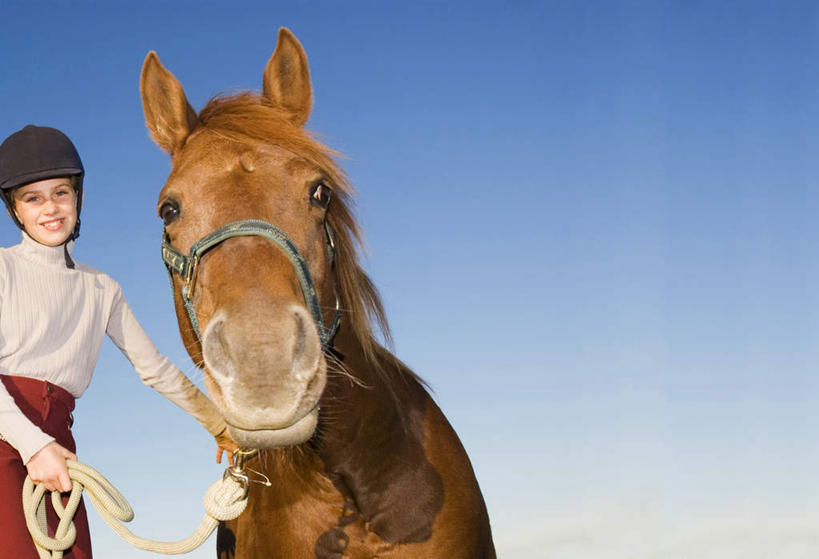 西方人,儿童,一个人,站,笑,微笑,露齿笑,横图,室外,白天,正面,纯洁,马,野生动物,帽子,欧洲,欧洲人,仅一个女性,仅一个人,戴,服装,头盔,拿,拿着,注视,休闲装,小孩,衣服,蓝色,蓝天,天空,动物,天,观察,看,站着,仅一个小孩,休闲,休闲服,可爱,童年,童趣,服饰,活泼,晴朗,观看,察看,缰绳,关注,凶猛,童真,烂漫,无邪,万里无云,天真,女孩,女人,女性,白种人,孩子,晴空,晴空万里,站立,半身,彩图,女生