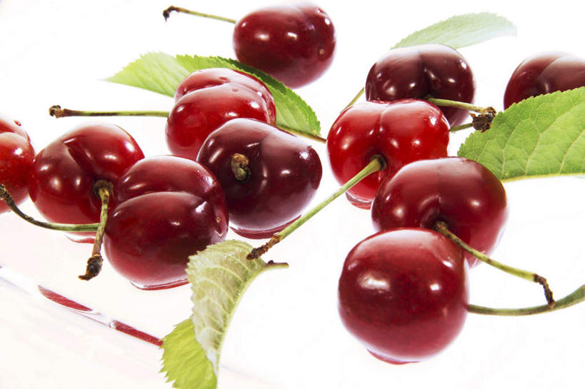 无人,横图,俯视,室内,特写,白天,白色背景,桌面,桌子,樱桃,水果,叶子,许多,新鲜,生食,食品,果实,绿叶,食物,嫩叶,摄影,有机食品,绿色食品,影棚,叶,叶片,樱珠,莺桃,英桃,楔桃,牛桃,荆桃,彩图,高角度拍摄,影棚拍摄,拍摄