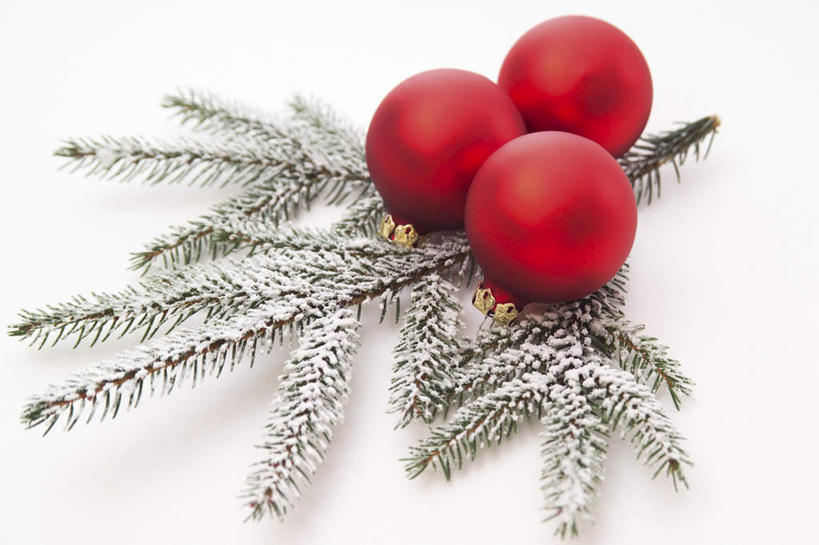 无人,横图,俯视,室内,特写,白天,白色背景,静物,圣诞节,节日,庆祝,装饰,挂饰,圣诞球,文化,球,树枝,三个,红色,庆典,球体,摄影,影棚,纪念,华丽,修饰,点缀,衬托,美观,雅致,雅观,彩图,高角度拍摄,影棚拍摄,拍摄