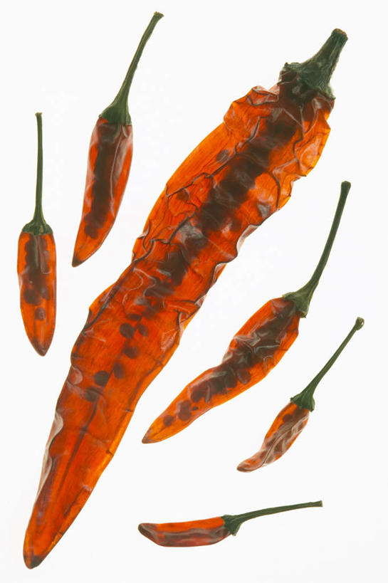 无人,竖图,俯视,室内,特写,白天,白色背景,辣椒,蔬菜,新鲜,食品,食物,摄影,有机食品,绿色食品,影棚,辣角,红海椒,大椒,辣虎,广椒,辣子,红辣椒,海椒,番椒,彩图,高角度拍摄,影棚拍摄,拍摄