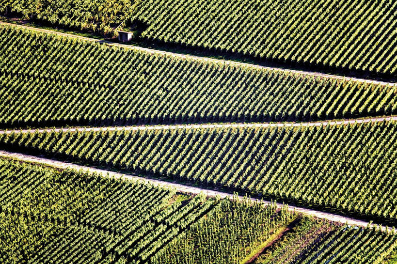 无人,果园,横图,俯视,航拍,室外,白天,旅游,度假,美景,田园,植物,道路,路,德国,欧洲,景观,小路,果树,交通,娱乐,葡萄园,树,树木,排列,绿色,自然,享受,休闲,景色,放松,生长,成长,西欧,鸟瞰,自然风光,德意志联邦共和国,田庄,摆列,园子,彩图,高角度拍摄,布列,分列