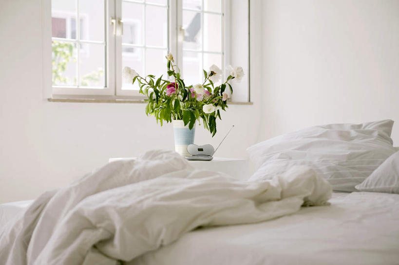 无人,横图,室内,白天,正面,植物,窗户,床,卧室,花瓶,叶子,盆栽,陶瓷,墙,双人床,绿叶,床单,盆景,陶瓷制品,被子,玻璃窗,墙壁,墙面,一个,绿色,白色,自然,瓶子,嫩叶,生长,单个,成长,被单,叶,叶片,彩图,睡房,卧房