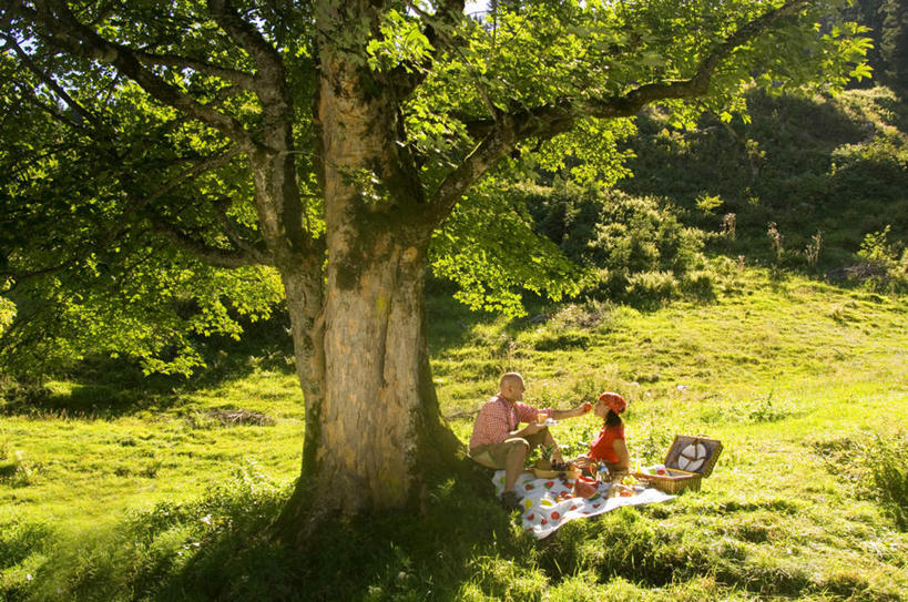 点心,西方人,两个人,家庭,夫妻,坐,吃,横图,俯视,室外,白天,爱情,草地,草坪,森林,树林,植物,欧洲,欧洲人,阴影,服装,装饰,编织,篮子,影子,坐垫,手工艺品,食品,甜点,甜品,织物,浪漫,注视,休闲装,草,树,树木,食物,糕点,衣服,绿色,自然,工艺品,甜食,观察,看,休闲,温暖,温馨,一家人,休闲服,恩爱,喂,恋人,服饰,生长,成长,观看,华丽,修饰,点缀,和睦,察看,关注,衬托,美观,雅致,雅观,野餐垫,野餐地毯,多功能毯,食物篮,男人,男性,年轻男性,年轻女性,女人,女性,白种人,情侣,食,坐着,彩图,高角度拍摄,全身,伴侣,融洽,野餐篮