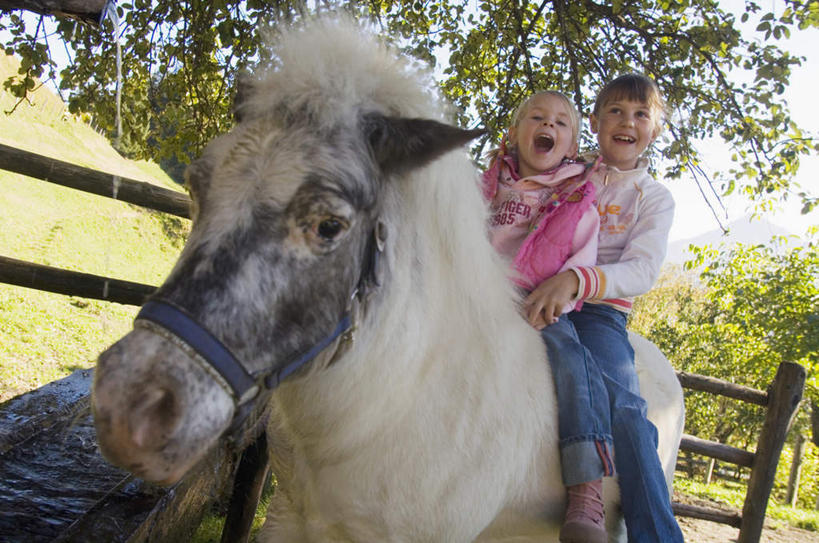西方人,儿童,两个人,伙伴,朋友,栏杆,坐,笑,微笑,露齿笑,横图,室外,白天,正面,友谊,纯洁,草地,草坪,树林,植物,马,野生动物,欧洲,欧洲人,服装,栅栏,围栏,注视,休闲装,护栏,草,树,树木,小孩,衣服,绿色,自然,动物,观察,看,休闲,休闲服,可爱,童年,童趣,服饰,活泼,生长,成长,观看,察看,关注,童真,烂漫,无邪,天真,友情,男孩,男人,男性,女孩,女人,女性,白种人,坐着,半身,彩图,男生,女生