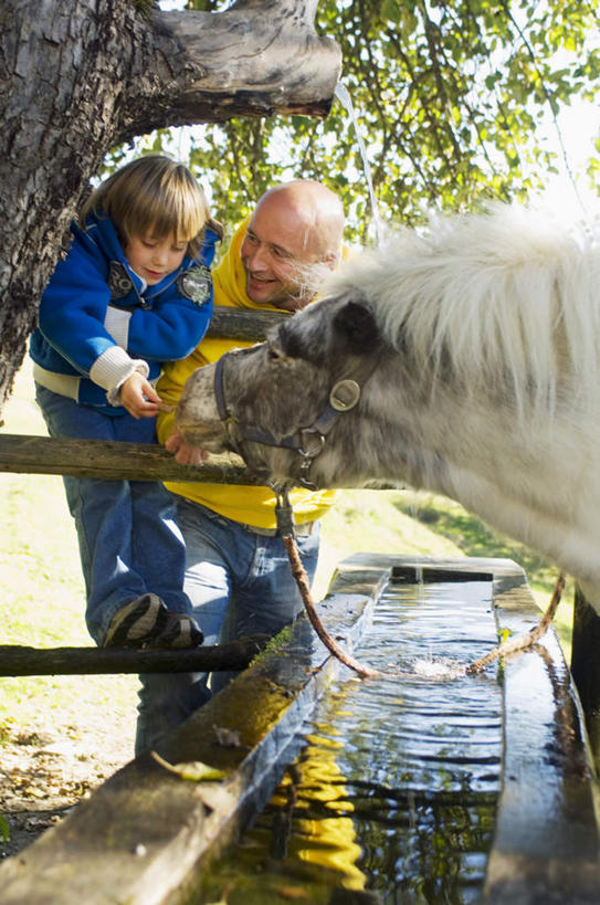 西方人,儿童,两个人,家庭,父亲,儿子,栏杆,站,摸,竖图,室外,白天,正面,纯洁,草地,草坪,树林,水,植物,马,野生动物,欧洲,欧洲人,抚摸,服装,水槽,液体,栅栏,篱笆,围栏,注视,休闲装,饮用水,水斗,水管,护栏,一匹,草,树,树木,小孩,衣服,绿色,自然,动物,矿泉水,观察,看,站着,休闲,温暖,温馨,父子,一家人,休闲服,父爱,可爱,童年,童趣,服饰,活泼,生长,成长,观看,和睦,察看,关注,凶猛,童真,蒸馏水,烂漫,无邪,天真,男孩,男人,男性,年轻男性,白种人,孩子,年轻人,触摸,接触,站立,半身,彩图,融洽,男生