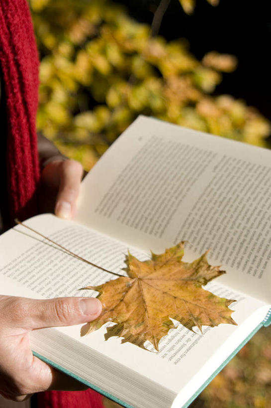 西方人,手,一个人,公园,站,竖图,俯视,室外,特写,白天,树林,植物,书籍,叶子,欧洲,欧洲人,双手,仅一个年轻女性,仅一个女性,仅一个人,一本,服装,朦胧,模糊,枫叶,枯叶,落叶,拿,拿着,休闲装,树,树木,树叶,衣服,黄色,红色,绿色,自然,站着,休闲,手部,休闲服,服饰,生长,成长,枫树叶,年轻女性,女人,女性,白种人,叶,叶片,书,图书,半身,彩图,高角度拍摄