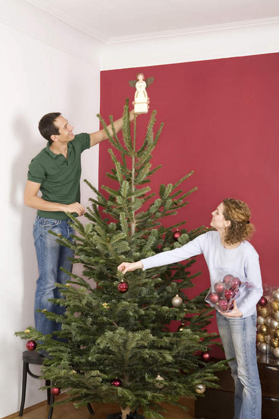 西方人,两个人,家庭,夫妻,客厅,站,举,笑,微笑,露齿笑,竖图,室内,白天,仰视,爱情,植物,欧洲,圣诞节,欧洲人,握,服装,节日,庆祝,装饰,挂饰,墙,圣诞树,圣诞球,浪漫,拿,拿着,注视,休闲装,文化,墙壁,墙面,球,树,树木,衣服,红色,绿色,自然,观察,看,托,站着,庆典,休闲,球体,温暖,温馨,一家人,休闲服,恩爱,握着,恋人,服饰,生长,成长,观看,纪念,华丽,修饰,点缀,和睦,察看,起居室,关注,衬托,美观,雅致,雅观,男人,男性,年轻男性,年轻女性,女人,女性,白种人,情侣,举起,举手,举着,向上举,向上伸,向上托,站立,半身,彩图,低角度拍摄,伴侣,融洽