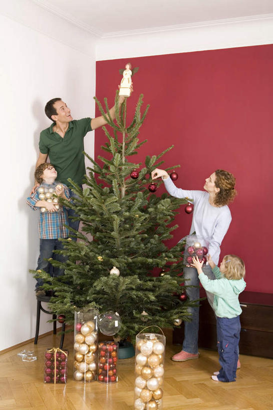 西方人,儿童,四个人,家庭,夫妻,母亲,父亲,女儿,儿子,客厅,站,举,竖图,室内,白天,正面,爱情,纯洁,植物,地板,欧洲,圣诞节,欧洲人,服装,节日,庆祝,装饰,挂饰,墙,圣诞树,圣诞球,地面,浪漫,拿,拿着,注视,休闲装,文化,木地板,墙壁,墙面,盒子,球,树,树木,小孩,衣服,红色,绿色,自然,饰品,观察,看,托,站着,庆典,休闲,球体,温暖,温馨,父女,父子,母女,母子,一家人,休闲服,恩爱,父爱,可爱,母爱,童年,童趣,恋人,服饰,生长,成长,观看,纪念,华丽,修饰,点缀,和睦,察看,起居室,关注,童真,烂漫,无邪,衬托,美观,雅致,雅观,天真,男孩,男人,男性,年轻男性,年轻女性,女孩,女人,女性,白种人,孩子,年轻人,夫妇,情侣,举起,举手,举着,抬头,向上举,向上伸,向上托,仰头,站立,半身,彩图,伴侣,融洽,男生,女生