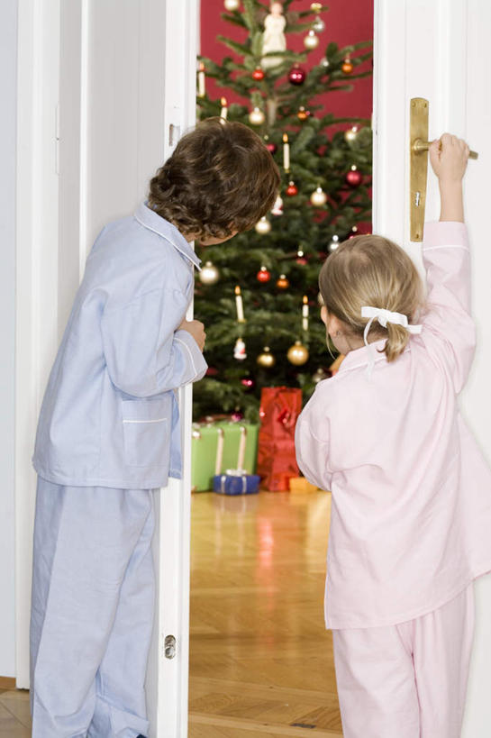 西方人,儿童,两个人,家庭,客厅,站,竖图,室内,白天,纯洁,植物,地板,门,礼盒,礼物,欧洲,圣诞节,欧洲人,握,服装,节日,庆祝,纸盒,圣诞树,地面,休闲装,文化,木地板,盒子,树,树木,小孩,背面,衣服,绿色,自然,包装盒,门把手,礼品盒,门框,站着,庆典,休闲,温暖,温馨,一家人,休闲服,可爱,童年,童趣,握着,服饰,礼品,生长,成长,纪念,和睦,起居室,童真,烂漫,无邪,天真,男孩,男人,男性,女孩,女人,女性,白种人,孩子,站立,半身,彩图,融洽,男生,女生