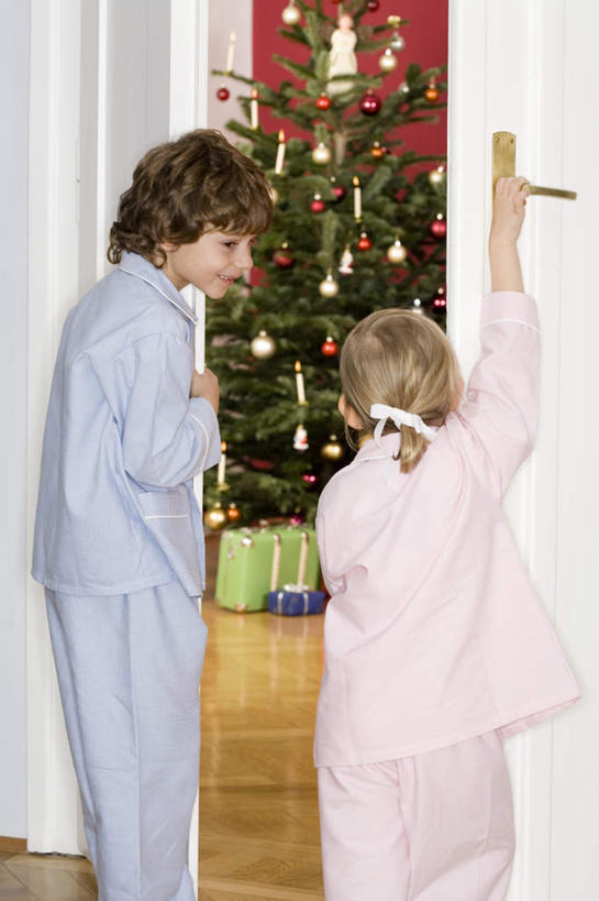 西方人,儿童,两个人,家庭,客厅,站,竖图,室内,白天,纯洁,植物,地板,门,礼盒,礼物,欧洲,圣诞节,欧洲人,握,服装,节日,庆祝,纸盒,圣诞树,地面,注视,休闲装,文化,木地板,盒子,树,树木,小孩,背面,衣服,绿色,自然,包装盒,门把手,礼品盒,门框,观察,看,站着,庆典,休闲,温暖,温馨,一家人,休闲服,可爱,童年,童趣,握着,服饰,礼品,生长,成长,观看,纪念,和睦,察看,起居室,关注,童真,烂漫,无邪,天真,男孩,男人,男性,女孩,女人,女性,白种人,孩子,站立,半身,彩图,融洽,男生,女生