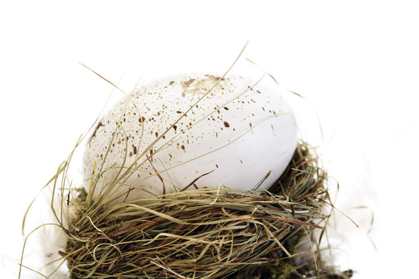 无人,横图,室内,特写,白天,白色背景,正面,植物,桌面,桌子,复活节,节日,枯萎,庆祝,鸟窝,蛋,鸡蛋,枯草,文化,草,黄色,庆典,摄影,影棚,纪念,草鸡蛋,彩图,影棚拍摄,拍摄