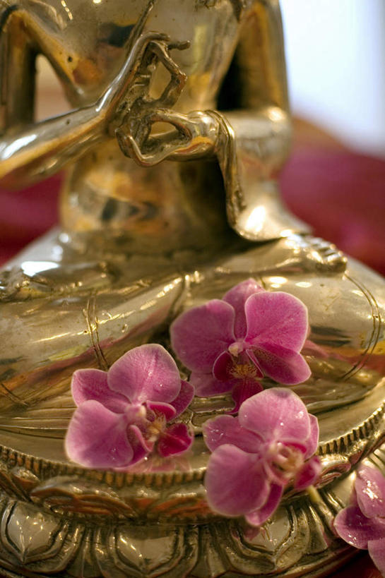 东方人,一个人,无人,坐,盘腿,竖图,俯视,室内,特写,白天,民族服装,窗户,桌面,桌子,金属制品,雕塑,亚洲,仅一个男性,仅一个人,阴影,节日,朦胧,模糊,艺术,装饰,盛开,反射,金属,木制,布料,雕刻,雕像,影子,花蕾,布纹,黄种人,文化,玻璃窗,桌布,花,花瓣,花朵,鲜花,仅一个年轻男性,红色,餐巾,木制品,工艺品,台布,花苞,花蕊,祈祷,健康,许愿,宗教,佛教,信仰,兰花指,纪念,祈求,美术,高雅,铜,主题,陈列,功能,美学,淡泊,花中君子,释教,平安,兰花,男人,男性,年轻男性,亚洲人,盘腿而坐,盘膝,盘着腿的,盘着腿坐,双腿交叉,坐着,半身,彩图,高角度拍摄,传统服装,民俗服