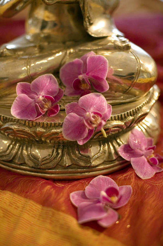 东方人,一个人,无人,坐,盘腿,竖图,俯视,室内,特写,白天,民族服装,窗户,桌面,桌子,金属制品,雕塑,亚洲,仅一个男性,仅一个人,阴影,节日,朦胧,模糊,艺术,装饰,盛开,反射,金属,木制,布料,雕刻,雕像,影子,花蕾,布纹,黄种人,文化,玻璃窗,桌布,花,花瓣,花朵,鲜花,仅一个年轻男性,红色,餐巾,木制品,工艺品,台布,花苞,花蕊,祈祷,健康,许愿,宗教,佛教,信仰,兰花指,纪念,祈求,美术,高雅,铜,主题,陈列,功能,美学,淡泊,花中君子,释教,平安,兰花,男人,男性,年轻男性,亚洲人,盘腿而坐,盘膝,盘着腿的,盘着腿坐,双腿交叉,坐着,半身,彩图,高角度拍摄,传统服装,民俗服