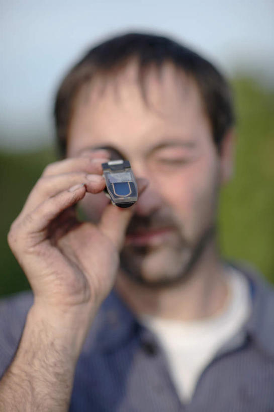 西方人,脸,头,脸颊,手,一个人,站,竖图,室外,特写,白天,正面,树林,植物,葡萄,水果,欧洲,欧洲人,仅一个男性,仅一个人,仅一个中年男性,握,服装,朦胧,模糊,新鲜,生食,食品,果实,拿,拿着,注视,休闲装,肩膀,树,树木,食物,一个,衣服,蓝色,绿色,蓝天,天空,自然,天,观察,看,站着,休闲,眯眼,手部,休闲服,眯,握着,服饰,有机食品,绿色食品,生长,晴朗,单个,成长,观看,单手,察看,关注,万里无云,男人,男性,中年男性,白种人,头部,脸部,脸蛋,面部,晴空,晴空万里,山葫芦,蒲桃,草龙珠,站立,半身,彩图