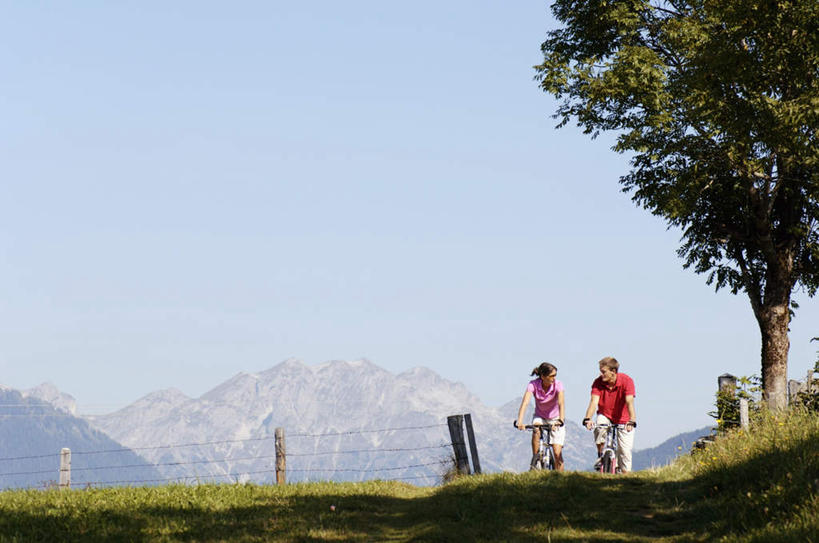 西方人,两个人,夫妻,坐,笑,说,微笑,露齿笑,横图,室外,白天,正面,运动服,爱情,草地,草坪,植物,自行车,欧洲,欧洲人,阴影,服装,光线,影子,浪漫,山地车,注视,车,脚踏车,草,树,树木,骑,衣服,蓝色,绿色,蓝天,天空,阳光,自然,交通工具,天,观察,看,面对面,恩爱,恋人,服饰,生长,晴朗,成长,观看,察看,衣着,穿着,关注,载具,山地自行车,万里无云,衣饰,交流,男人,男性,女人,女性,中年男性,中年女性,白种人,情侣,晴空,晴空万里,沟通,讲话,交谈,说话,谈话,坐着,半身,彩图,伴侣,运动装