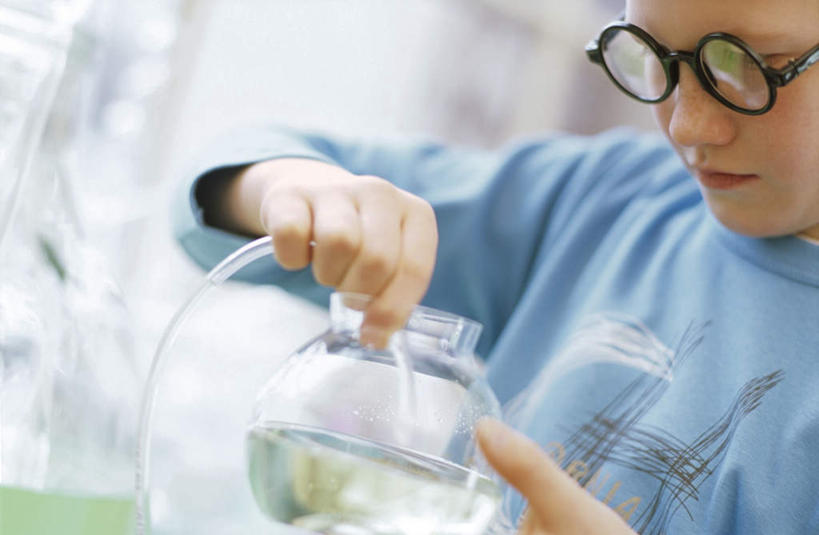 西方人,儿童,一个人,站,横图,室内,特写,白天,侧面,纯洁,实验,仪器,欧洲,欧洲人,仅一个男性,仅一个人,握,服装,朦胧,模糊,研究,透明,分析,化学,测试,管子,烧瓶,眼镜,拿,拿着,注视,休闲装,玻璃制品,小孩,衣服,玻璃瓶,瓶子,观察,看,站着,仅一个小孩,休闲,休闲服,器皿,可爱,童年,童趣,握着,服饰,观看,察看,关注,近视眼镜,童真,烂漫,无邪,玻璃仪器,试验耗材,实验用品,圆底烧瓶,天真,男孩,男人,男性,白种人,孩子,站立,半身,彩图,男生