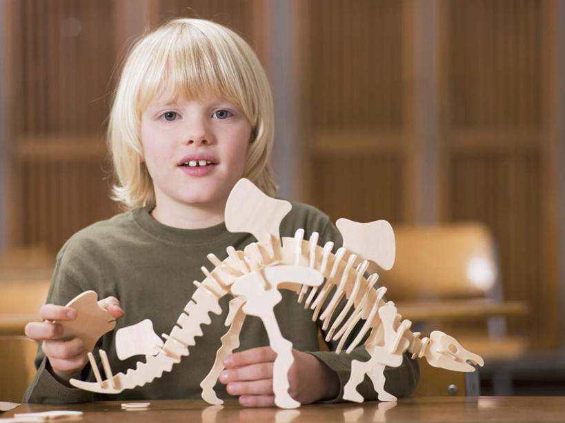 西方人,儿童,一个人,学生,坐,笑,微笑,露齿笑,横图,室内,白天,正面,纯洁,柜子,桌子,欧洲,欧洲人,仅一个男性,仅一个人,握,服装,储物柜,拿,拿着,注视,休闲装,书桌,小孩,衣服,课桌,模型,观察,看,仅一个小孩,休闲,休闲服,可爱,童年,童趣,握着,服饰,恐龙,观看,察看,储存,关注,凶猛,童真,烂漫,无邪,灭尽,灭绝,史前动物,储备,蕴藏,贮备,天真,凶残,男孩,男人,男性,白种人,孩子,坐着,半身,彩图,贮存,男生