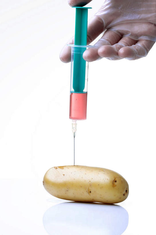 西方人,手,一个人,科学家,竖图,室内,特写,白天,白色背景,正面,桌面,桌子,蔬菜,土豆,欧洲,欧洲人,仅一个男性,仅一个人,握,阴影,新鲜,反射,木制,影子,食品,拿,拿着,食物,仅一个年轻男性,一个,木制品,手部,针管,针筒,握着,注射,摄影,有机食品,绿色食品,影棚,单个,单手,医疗,医疗设备,注射器,科研人员,研究者,科学研究者,馍馍蛋,男人,男性,年轻男性,白种人,科学工作者,洋芋,山药蛋,马铃薯,半身,彩图,影棚拍摄,拍摄