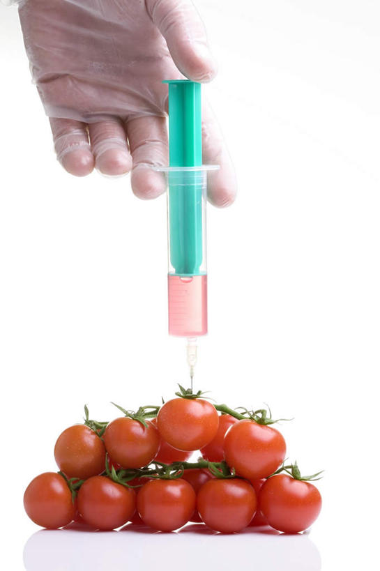 西方人,手,一个人,科学家,竖图,室内,特写,白天,白色背景,正面,桌面,桌子,蔬菜,西红柿,小番茄,欧洲,欧洲人,仅一个男性,仅一个人,一堆,握,阴影,堆叠,堆积,新鲜,反射,木制,影子,食品,拿,拿着,食物,仅一个年轻男性,木制品,手部,针管,针筒,握着,注射,摄影,有机食品,绿色食品,影棚,堆,单手,医疗,医疗设备,注射器,科研人员,研究者,科学研究者,小西红柿,樱桃小番茄,珍珠小番茄,男人,男性,年轻男性,白种人,科学工作者,樱桃番茄,圣女果,番茄,半身,彩图,影棚拍摄,拍摄