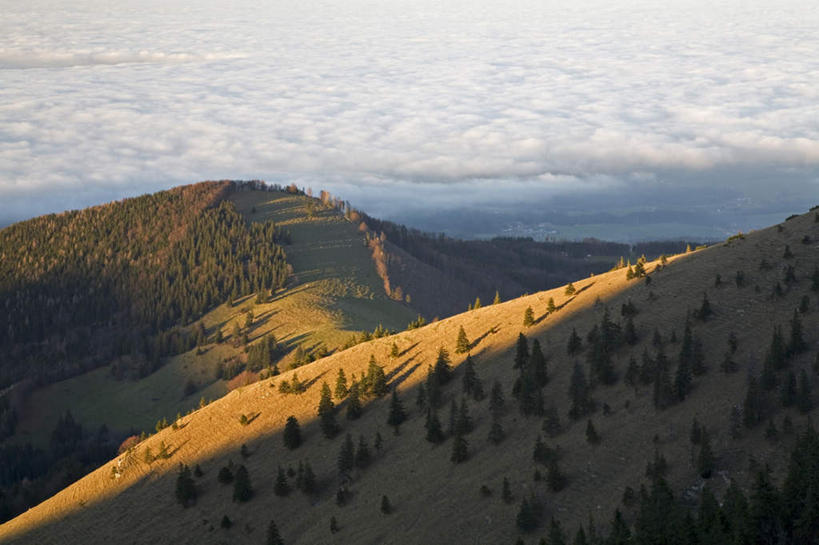 无人,横图,俯视,室外,白天,旅游,度假,石头,美景,森林,山,山脉,树林,植物,德国,欧洲,石子,景观,山顶,山峰,乌云,云,阴天,云朵,山峦,云彩,娱乐,树,树木,绿色,天空,自然,群山,天,享受,休闲,景色,放松,生长,成长,昏暗,阴沉,西欧,自然风光,沉积岩,德意志联邦共和国,巴伐利亚,巴伐利亚州,拜恩州,拜恩自由州,颠峰,极峰,水成岩,石块,岩石,彩图,高角度拍摄