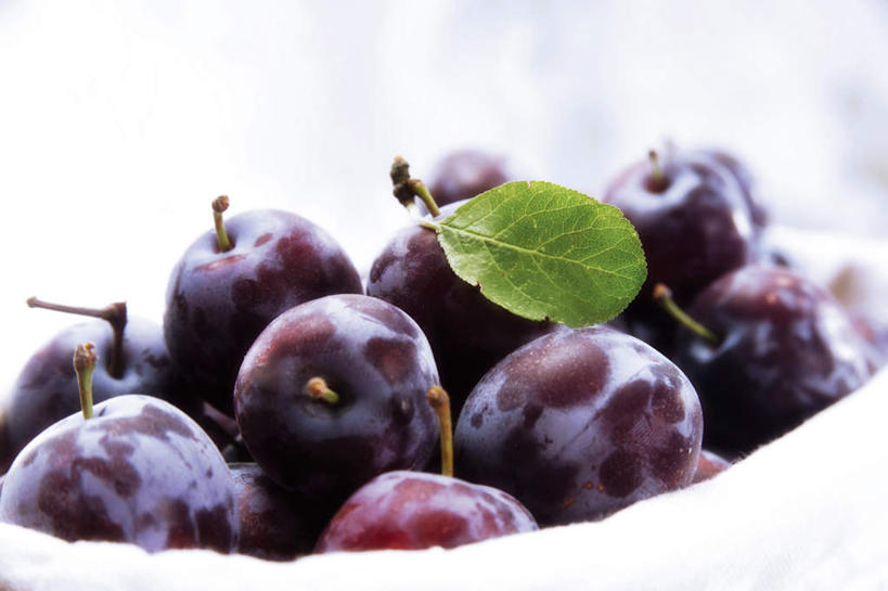 无人,横图,室内,特写,白天,白色背景,正面,李子,水果,叶子,一堆,许多,堆叠,堆积,朦胧,模糊,新鲜,生食,食品,果实,绿叶,食物,容器,碗,嫩叶,摄影,有机食品,绿色食品,影棚,堆,红李,鸡血李,杏李,叶,叶片,彩图,影棚拍摄,拍摄