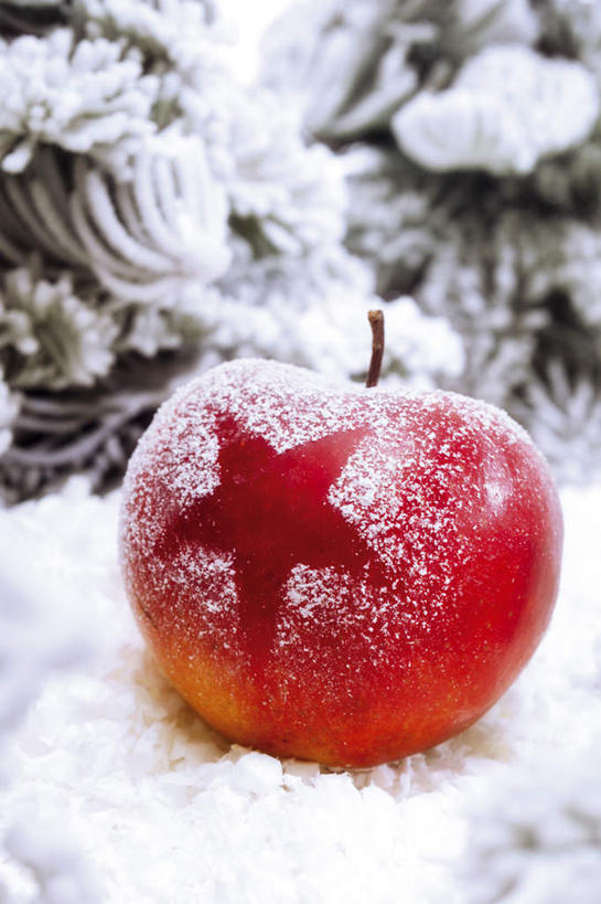 无人,竖图,室外,特写,白天,正面,森林,树林,雪,植物,大雪,苹果,水果,圣诞节,节日,朦胧,模糊,庆祝,新鲜,积雪,雪景,星星,冬天,生食,食品,果实,文化,树,树木,食物,一个,红色,绿色,自然,庆典,星形,有机食品,绿色食品,单个,纪念,五角形,五角星,彩图