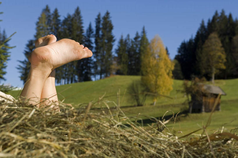西方人,脚,脚趾,脚趾甲,一个人,举,横图,室外,白天,正面,草地,草坪,植物,欧洲,欧洲人,仅一个年轻女性,仅一个女性,仅一个人,倒立,草,树,树木,蓝色,绿色,蓝天,天空,自然,天,托,赤脚,生长,晴朗,成长,万里无云,年轻女性,女人,女性,白种人,脚指甲,晴空,晴空万里,举起,举手,举着,向上举,向上伸,向上托,半身,彩图