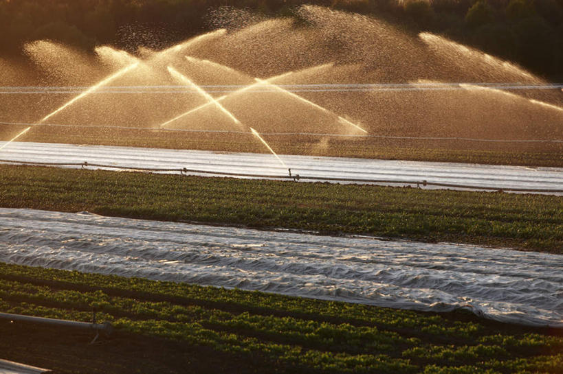 无人,农田,横图,室外,白天,正面,旅游,度假,庄稼,农作物,灌溉,美景,日落,德国,欧洲,阴影,飞溅,溅,光线,液体,影子,景观,水滴,晚霞,霞光,落日,娱乐,水管,水珠,阳光,自然,黄昏,享受,休闲,景色,彩霞,放松,浇灌,西欧,喷洒,自然风光,德意志联邦共和国,夕照,夕阳,彩图,耕地,庄稼田,斜阳
