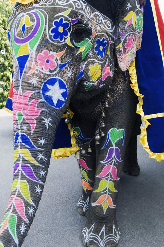 无人,站,竖图,彩色,室外,特写,白天,正面,抽象,度假,绘画,美景,城市风光,城市,大象,野生动物,纺织品,印度,亚洲,一头,花纹,艺术,装饰,彩绘,毛毯,毯子,图案,手工制品,景观,艺术品,古典,图像,注视,文化,娱乐,动物,工艺品,观察,看,品味,站着,享受,休闲,概念,景色,放松,可爱,活泼,观看,华丽,修饰,美术,点缀,察看,高雅,关注,南亚,凶猛,印度共和国,美学,衬托,美观,雅致,雅观,构图,式样,图文,站立,半身,彩图,涂鸦