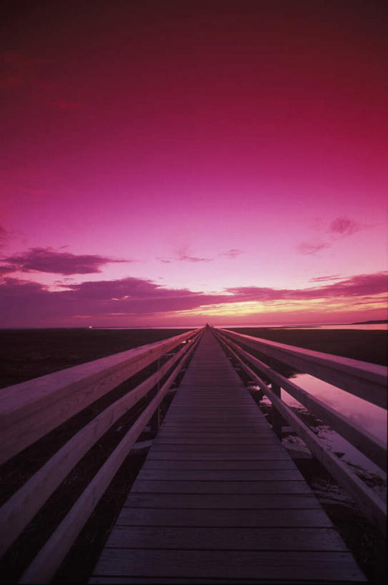 无人,竖图,室外,白天,正面,旅游,度假,美景,日落,沙滩,美国,阴影,光线,木板,沙子,影子,地平线,海岸,景观,晚霞,霞光,落日,桥,辽阔,地面,木桥,沙地,娱乐,栈桥,阳光,自然,黄昏,享受,休闲,广阔,景色,彩霞,放松,人行桥,木板桥,一望无际,北美,北美洲,自然风光,延伸,美洲,马萨诸塞州,麻州,麻省,马萨诸塞,麻塞诸塞,老殖民地,海湾之州,天地相交,北亚美利加洲,亚美利加洲,无边无际,一马平川,夕照,科德角,海滩,夕阳,彩图,斜阳