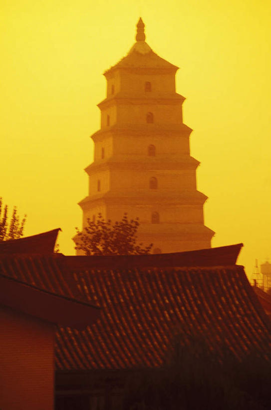 无人,寺庙,竖图,室外,白天,仰视,旅游,度假,名胜古迹,日落,植物,标志建筑,地标,建筑,中国,亚洲,朦胧,模糊,遗迹,屋顶,晚霞,霞光,落日,塔,枝条,顶棚,古迹,文物,娱乐,建设,古建筑,宝塔,树,树木,树枝,黄昏,庙宇,享受,休闲,旅游胜地,彩霞,放松,古文明,东亚,中华人民共和国,夕照,浮图,浮屠,虬枝,枝杈,夕阳,彩图,低角度拍摄,庙,寺,斜阳