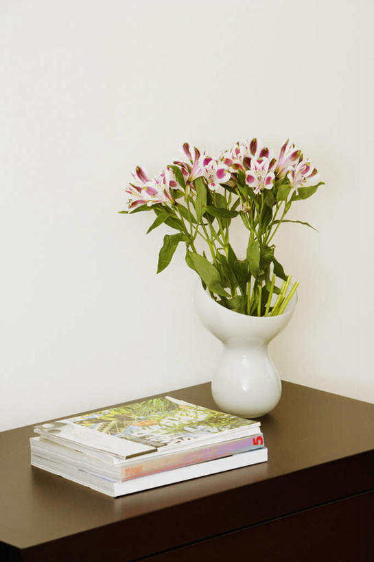 无人,竖图,室内,特写,白天,正面,智慧,桌面,桌子,花瓶,书籍,一排,艺术,整齐,装饰,盛开,木制,陶瓷,墙,陶瓷制品,花蕾,文化,墙壁,墙面,花,花瓣,花朵,鲜花,排列,一个,白色,插花,木制品,瓶子,花苞,花蕊,单个,堆,华丽,修饰,插花艺术,点缀,创造,队列,创作,想象,衬托,美观,雅致,雅观,书,图书,彩图