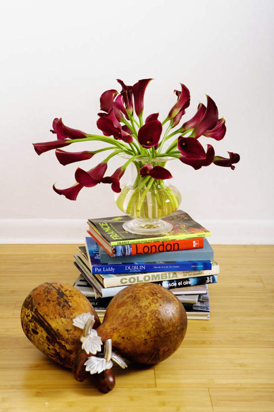 无人,竖图,室内,特写,白天,正面,智慧,花瓶,书籍,一排,艺术,整齐,装饰,盛开,葫芦,墙,花蕾,文化,墙壁,墙面,玻璃制品,花,花瓣,花朵,鲜花,排列,一个,白色,插花,玻璃瓶,瓶子,花苞,花蕊,单个,堆,华丽,修饰,插花艺术,点缀,创造,队列,创作,想象,衬托,美观,雅致,雅观,书,图书,彩图