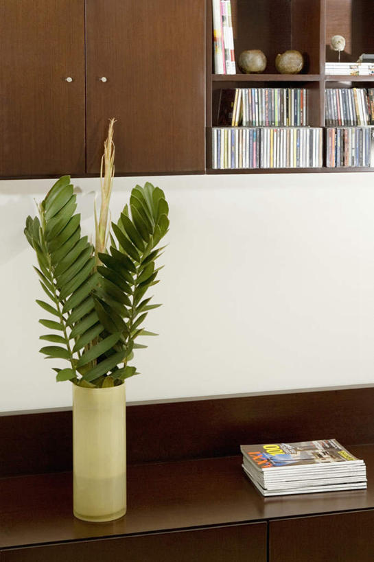 无人,竖图,室内,特写,白天,正面,智慧,桌面,桌子,花瓶,书籍,叶子,一排,许多,艺术,整齐,装饰,并列,并排,木制,陶瓷,绿叶,陶瓷制品,很多,文化,排列,一个,插花,木制品,瓶子,书柜,嫩叶,书橱,单个,华丽,修饰,插花艺术,点缀,创造,队列,创作,平行,想象,衬托,美观,雅致,雅观,叶,叶片,书,图书,彩图