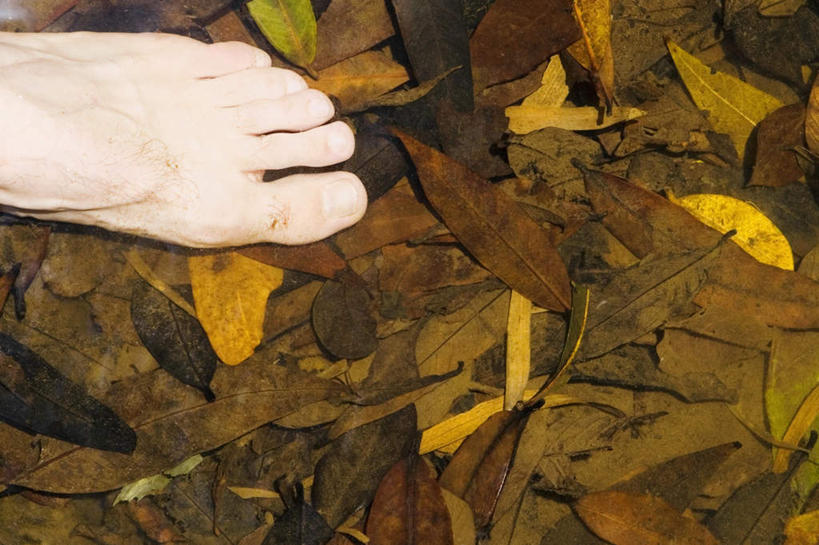 西方人,腿部,脚,脚趾,脚趾甲,腿,一个人,站,横图,俯视,室外,特写,白天,叶子,欧洲,欧洲人,仅一个男性,仅一个人,一堆,许多,堆叠,堆积,枯叶,落叶,光脚,仅一个年轻男性,站着,赤脚,堆,男人,男性,年轻男性,白种人,脚指甲,叶,叶片,站立,半身,彩图,高角度拍摄