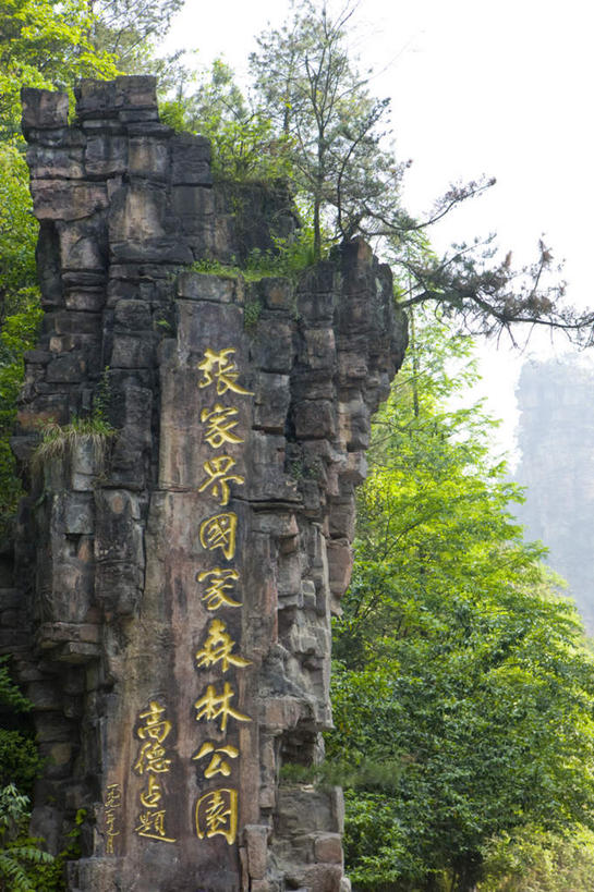 无人,公园,竖图,室外,白天,仰视,旅游,度假,石头,美景,森林,山,山脉,树林,植物,张家界,中国,亚洲,石子,景观,山顶,山峰,悬崖,山峦,娱乐,树,树木,绿色,自然,群山,享受,休闲,景色,放松,生长,成长,自然风光,东亚,沉积岩,湖南,湖南省,森林公园,张家界国家森林公园,中华人民共和国,绝壁,华中地区,湘,张家界市,颠峰,极峰,水成岩,石块,岩石,彩图,低角度拍摄