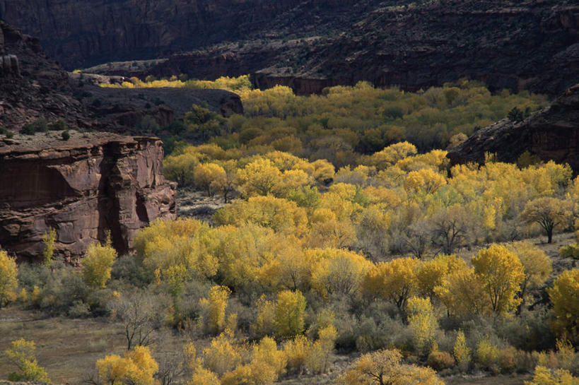 无人,横图,俯视,航拍,室外,白天,旅游,度假,石头,美景,山,山脉,树林,植物,美国,石子,景观,山峰,山峦,娱乐,树,树木,绿色,自然,群山,享受,休闲,景色,放松,生长,成长,北美,北美洲,犹他州,鸟瞰,自然风光,美洲,北亚美利加洲,亚美利加洲,犹他,蜂窝之州,蜂房州,大阶梯国家纪念碑,大楼梯国家纪念碑,石块,岩石,彩图,高角度拍摄