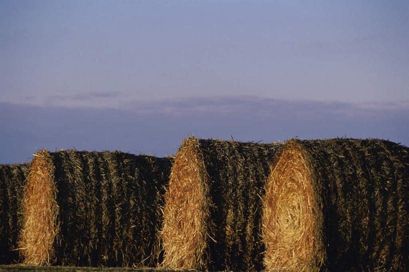 无人,横图,室外,白天,正面,旅游,度假,美景,日落,一排,收成,整齐,景观,晚霞,霞光,落日,干草,娱乐,排列,自然,黄昏,草垛,享受,休闲,景色,彩霞,放松,收获,队列,自然风光,夕照,劳绩,干草垛,夕阳,彩图,斜阳