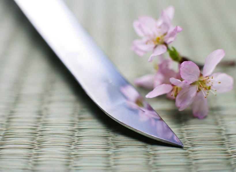 无人,横图,俯视,室内,特写,白天,幸福,纯洁,竞争,樱花,静物,一把,对抗,阴影,朦胧,模糊,锐利,盛开,冲突,反射,席子,影子,塌塌米,榻榻米,花蕾,破坏,花,花瓣,花朵,鲜花,粉色,花苞,花蕊,武器,战争,摄影,影棚,等待,损坏,锋利,尖锐,剑,攻击,生命,威胁,对立,矛盾,兵器,防御,尖利,敌对,挫败,斗争,抗拒,抗衡,仙樱花,福岛樱,青肤樱,杀伤,高尚,威慑,热烈,犀利,厉害,百兵之君,短兵,叠席,危险,荆桃,彩图,高角度拍摄,影棚拍摄,拍摄